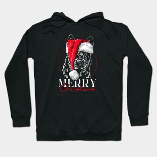 Funny Santa Australian Cattle Dog Merry Christmas dog mom Hoodie